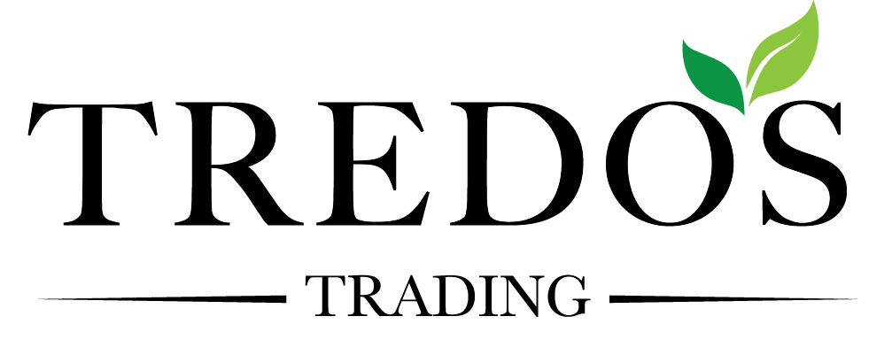 Avada Catering Services